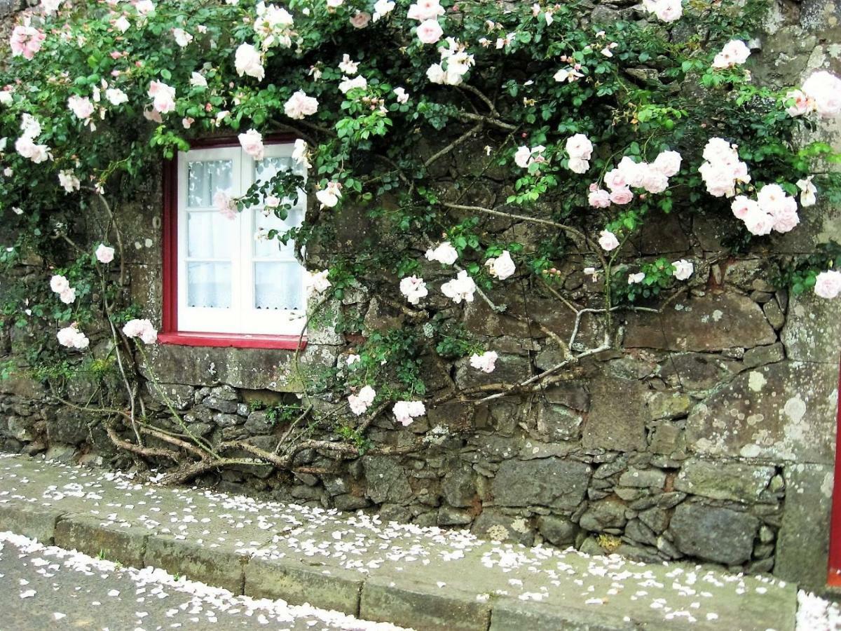 Vila Casa Da Roseira Nordeste  Exteriér fotografie